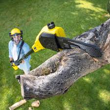 Best Lawn Grading and Leveling  in Madera, CA